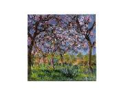 Printemps a Giverny Claude Monet